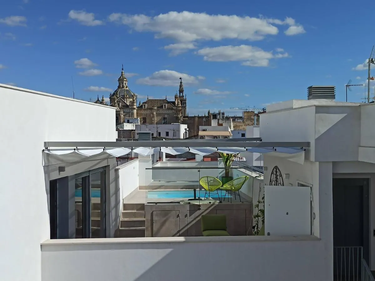 Appartement Luxury Penthouse With Private Pool Setas Monument à Séville
