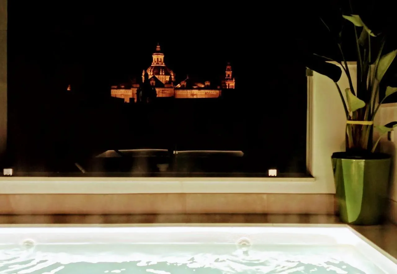 Apartamento Luxury Penthouse With Private Pool Setas Monument Sevilla